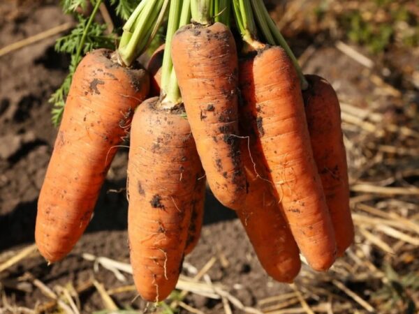 Фото: УНІАН