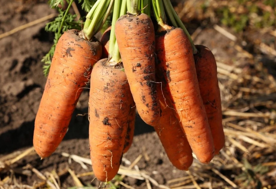 Фото: УНІАН