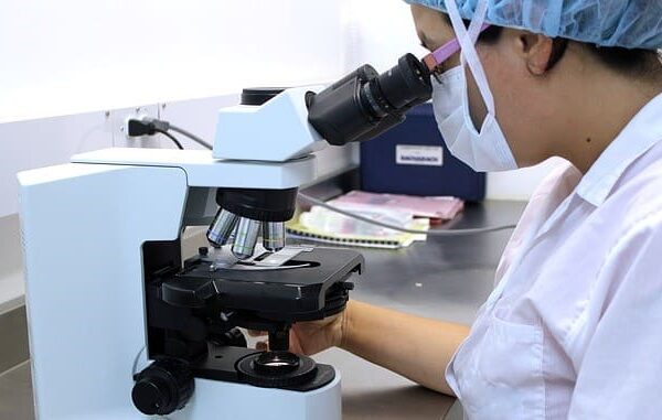 Фото: Professii.in.ua