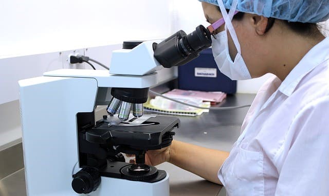 Фото: Professii.in.ua