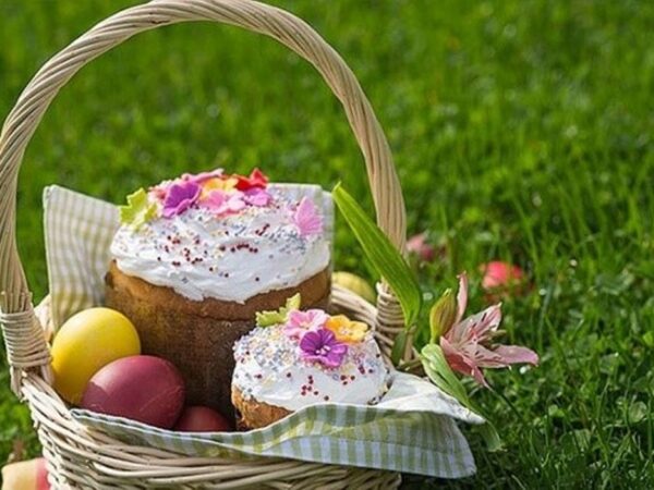 Фото: Пропозиція