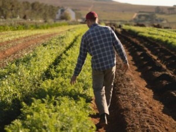 Фото: ВолиньPost