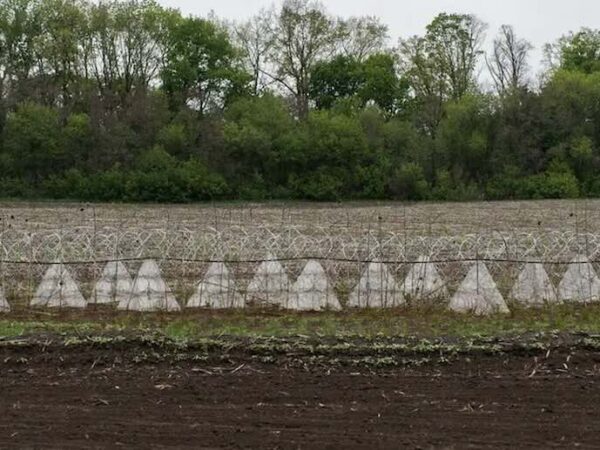 Зеленський: ЗСУ зірвали план РФ щодо наступу на Сумщині / Фото: DW