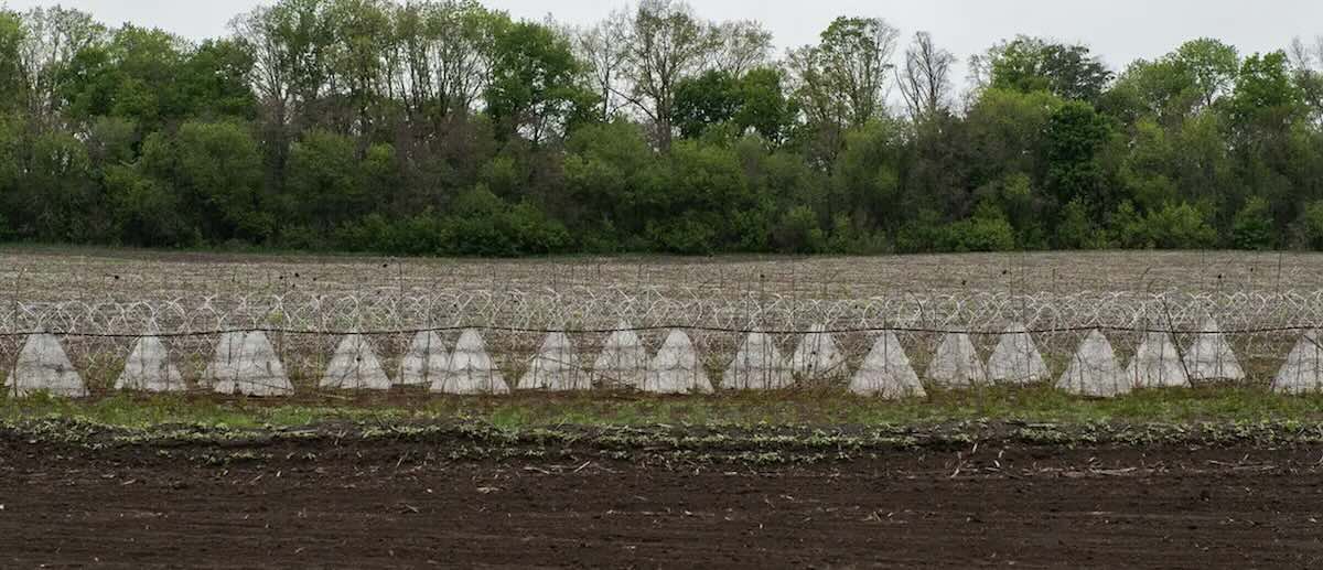 Зеленський: ЗСУ зірвали план РФ щодо наступу на Сумщині / Фото: DW