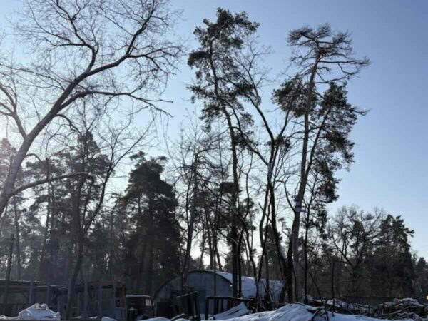 Будують таунхауси всупереч генплану: що відбувається у Соснівці / Фото: відкриті джерела